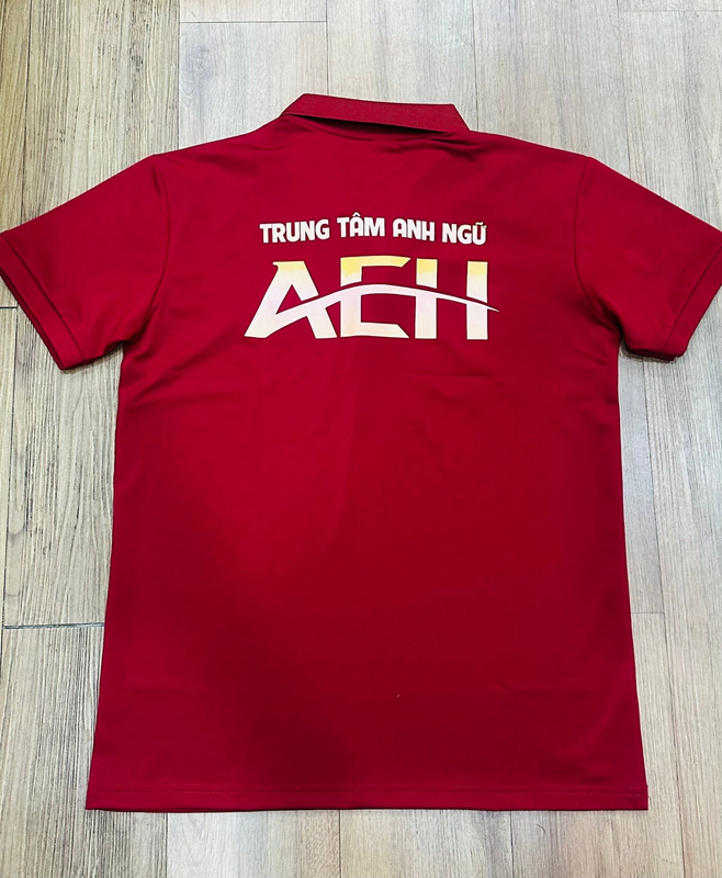 May áo thun số lượng ít giá bao nhiêu tại Đồng phục Ánh Ngọc